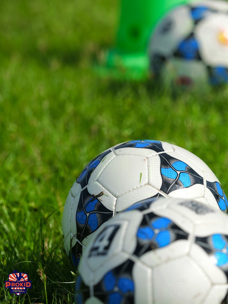 Prokid Training D6_-248 https://prokid.vn/wp-content/uploads/2025/10/Prokid-Training-D6_-248.jpg